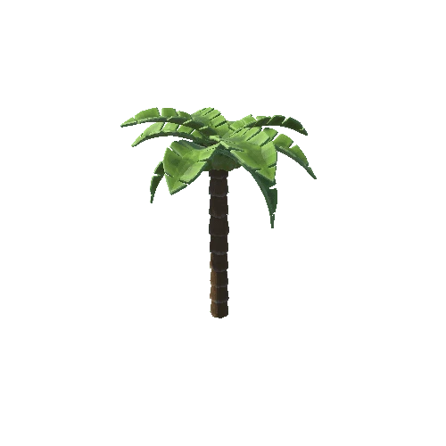 SM_PalmTree_1 Variant